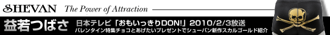 おもいっきりDON!益若つばさの「つばさのコレくるセレクション」日テレで放送