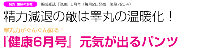 主婦の友2012年6月号掲載：精力減退の敵は睾丸の温暖化